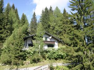 索内纳尔佩·纳斯费尔德Chalet in Nassfeld ski area in Carinthia的树林中的一座房子