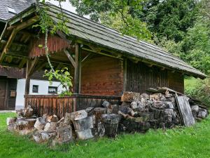 ArriachHoliday home in Arriach near Lake Ossiach的建筑物前面一堆木头