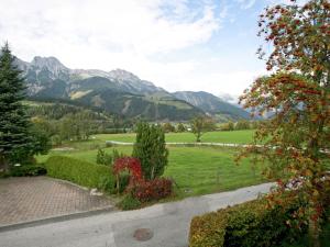 莱奥冈Chalet in Leogang Salzburg with garden的享有以山脉为背景的公园景致