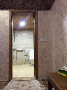 瓦迪拉姆Wadi Rum Quiet Village Camp的带淋浴和卫生间的浴室。