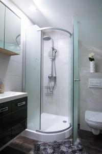 兹雷切Apartma Tia的带淋浴、水槽和卫生间的浴室