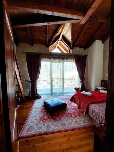 埃普塔罗弗斯Petradi Residence @ Agoriani-Parnassus的一间卧室设有一张床和一个大窗户