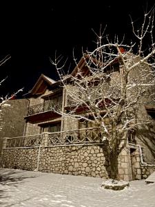 埃普塔罗弗斯Petradi Residence @ Agoriani-Parnassus的建筑物前雪中一棵树