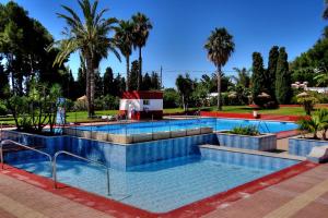 拉海瑞德拉Montepino 48的棕榈树公园内的游泳池