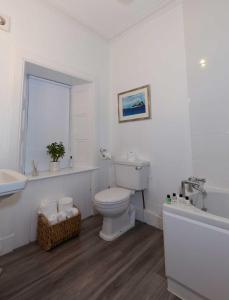 阿伯费尔迪弗恩班克住宿加早餐旅馆的白色的浴室设有卫生间和水槽。