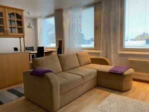 科科拉Apartment Isokatu的带沙发的客厅和厨房