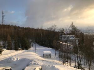 Vysoke Tatry - Horny SmokovecBellevue apartments Vila Vlasta Starý Smokovec的滑雪场有雪盖,远处设有滑雪缆车