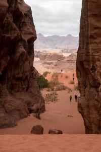 瓦迪拉姆Wadi Rum Nights的一群人穿过沙漠