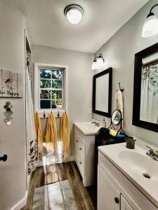 托马斯维尔HoneyComb GEM, Beautifully Designed & Near Downtown Thomasville的一间带水槽、淋浴和镜子的浴室