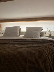 加来Pasithéa Loft Spa Privatif的一张大床,上面有两个枕头