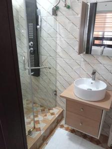 IbejuLekki Conservation Luxury Palace 5 Bedrooms, with Fast Wi-Fi Fibre Broadband in Lekki not Ibeju的一间带水槽和玻璃淋浴的浴室