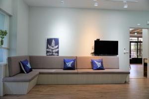 公馆藴慢築 茶花藝主題民宿 Yun Man Zhu Homestay的配有电视的客房内的一张带蓝色枕头的沙发