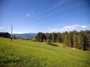 FresachApartment in Mooswald in Carinthia with pool的一片绿草树木的田野