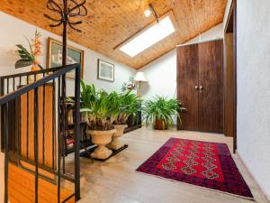 伊伯恩道夫Apartment in Eberndorf Carinthia with sauna的走廊上设有楼梯和红色地毯