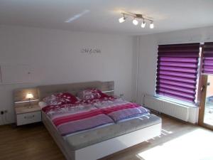 弗雷德里希斯布鲁恩Janos-Ferienwohnung的一间卧室配有一张床和一个带紫色百叶窗的窗户