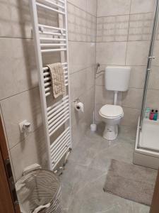斯克拉丁Apartments Pulic的一间带卫生间和淋浴的小浴室