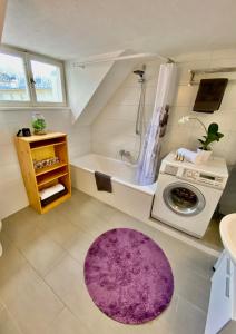 布雷根茨Zentrales Apartment Pfänderblick的一间带紫色地毯和洗衣机的浴室