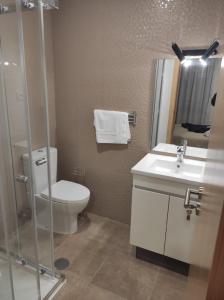 萨布盖鲁Casa dos Conchos 2的浴室配有卫生间、盥洗盆和淋浴。