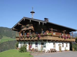 EmbachApartment in Embach Austria near ski area的阳台上的鲜花盛开的大房子