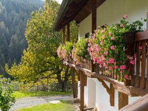 EbersteinHoliday home in Eberstein Carinthia with sauna的建筑一侧带鲜花的阳台
