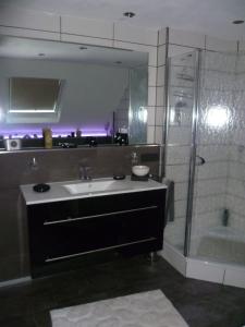 梅伦昂比恩蒂度假屋的一间带水槽和淋浴的浴室