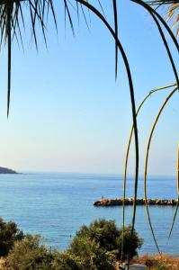 德里奥斯尼克勒塔一室公寓酒店的从棕榈树上欣赏海景