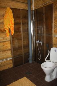 RaigastvereJaama Puhkemaja的一间带卫生间和淋浴的浴室