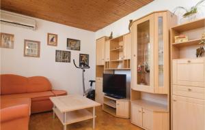 尼亚卢卡Nice Apartment In Vela Luka With Wifi的带沙发和电视的客厅