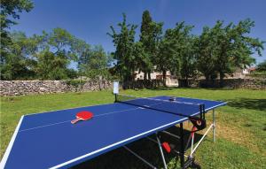 ManjadvorciAmazing Home In Manjadvorci With 3 Bedrooms, Wifi And Outdoor Swimming Pool的院子里的一张蓝色乒乓球桌