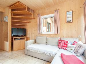 穆尔河畔施塔德尔奥地利小木屋的带沙发和电视的客厅