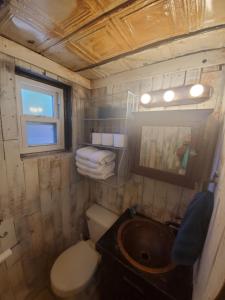 鲁伊多索Enchanted Hideaway Cabins and Cottages的一间带卫生间和水槽的小浴室