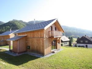 上陶恩Nice chalet in Hohentauern Styria with sauna的草地上的大型木屋