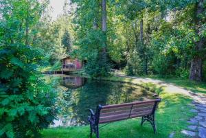 HopeHope Alaska's Bear Creek Lodge的坐在池塘附近的草地上的公园长凳