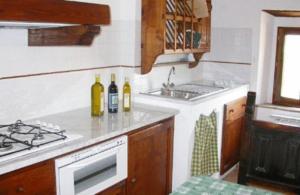 巴尔贝里诺瓦尔德尔萨托雷伊欧洛公寓式酒店的厨房在柜台上备有两瓶葡萄酒