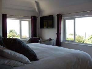 哈雷克Dol Aur - Room Only的一间卧室配有一张带两个窗户的床和一台电视