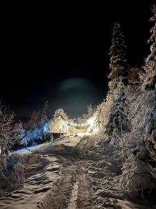 斯拉夫西克SlavskoGlamping的一条雪覆盖的道路,晚上有帐篷