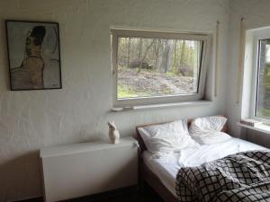KleinichHoliday home in Kleinich with sauna的一间卧室设有一张床和一个窗口