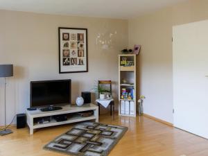 Üxheim塞斯特黑姆公寓的客厅配有平面电视和地毯。