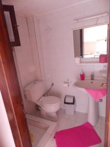佩科霍里Elsa Apartments的一间带卫生间和水槽的小浴室