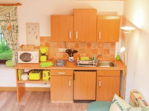 伦韦格地区诺伊豪斯holiday home with sauna Thuringian Forest的一个带木制橱柜和水槽的小厨房