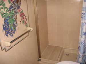 伊索拉德尔格兰萨索Hotel Casale的带淋浴和卫生间的浴室