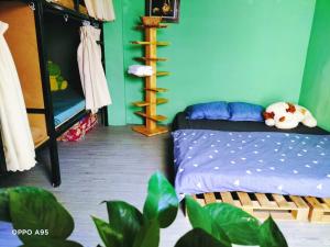 头顿Homestay Gác Mơ Vũng Tàu的一间卧室设有一张床和绿色的墙壁