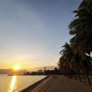 奥隆阿波苏比克湾景钻石酒店的棕榈树海滩和日落
