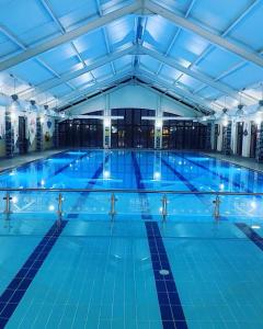道宁斯唐宁海湾酒店的蓝色海水大型室内游泳池