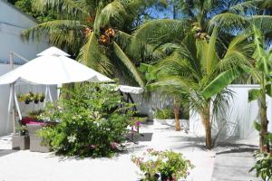 FeydhooFiyala Homestay的种有植物和遮阳伞的庭院,棕榈树