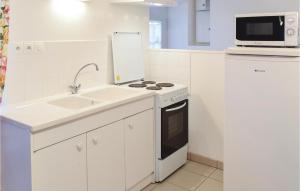 Deux-Jumeaux丽奥迪亭台度假屋的白色的厨房配有水槽和微波炉
