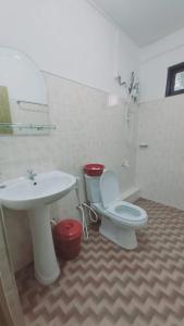 努沃勒埃利耶努沃勒埃利耶绿色格里高利别墅旅馆的一间带卫生间和水槽的浴室