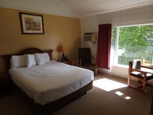 库珀斯敦山核桃树丛汽车旅馆 - 古柏 的一间卧室设有一张床、一个窗口和一把椅子