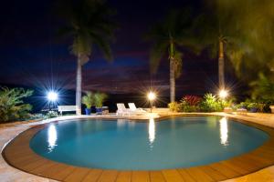 雅库廷加Pousada e Restaurante Caminhos do Bom Café的棕榈树的夜间大型游泳池