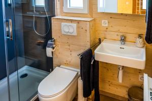 劳特布龙嫩Camping Jungfrau的浴室配有卫生间、盥洗盆和淋浴。